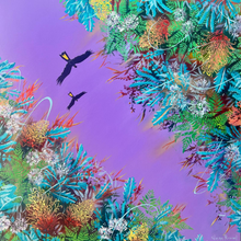 Load image into Gallery viewer, yellow-tailed black cockatoos flying in formation over the Australian banksias