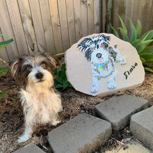 Load image into Gallery viewer, Pet Portraits